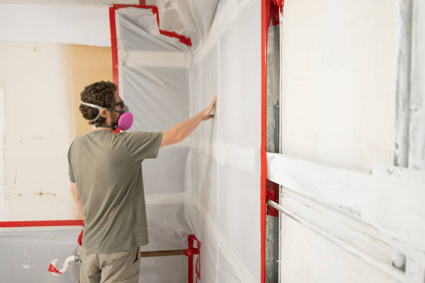Best Mold Removal for HVAC Installations  in Pueblo West, CO