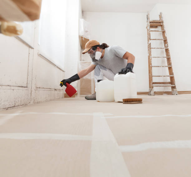 Trusted Pueblo West, CO Mold Removal Experts